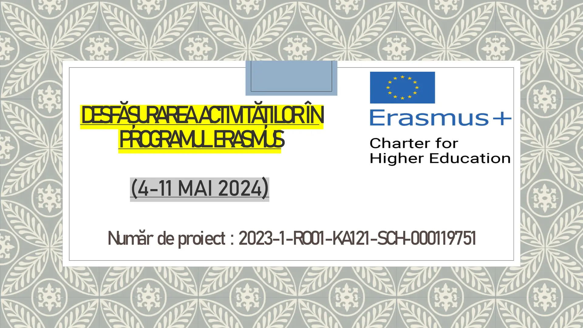 Diseminare mobilitate de grup Roma, Proiect Erasmus 119751-01