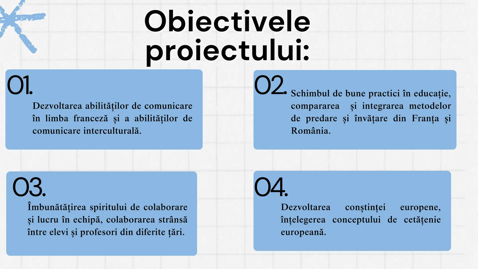 Disminare mobiliatte Nice, Proiect Erasmus + nr. 119751-3